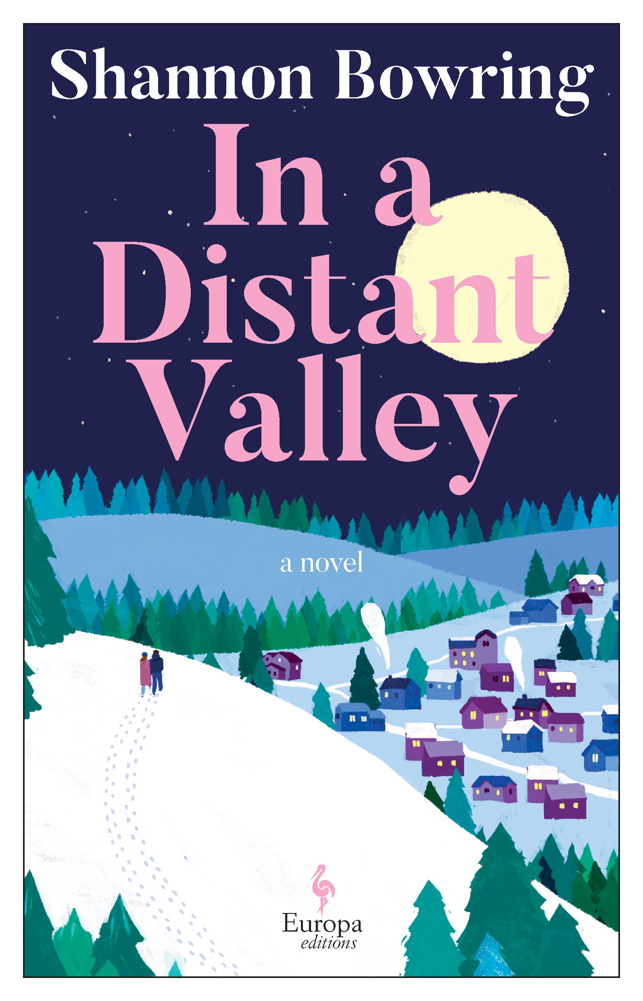 Cover image for In a Distant Valley ISBN 9798889661405